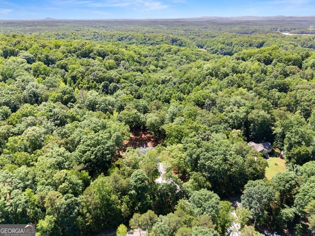 299 Shore Crest Drive, Martin, GA 30577