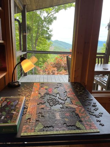 354 Deals Gap, Robbinsville, NC 28771
