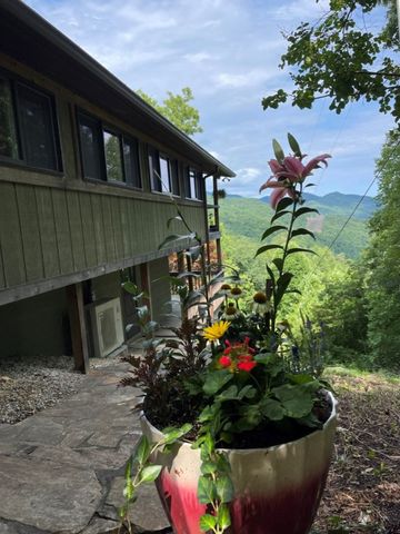 354 Deals Gap, Robbinsville, NC 28771
