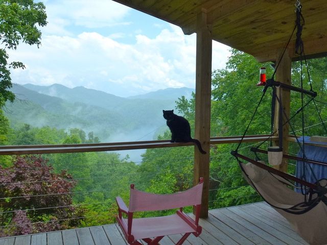 354 Deals Gap, Robbinsville, NC 28771