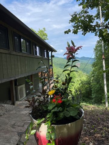 354 Deals Gap, Robbinsville, NC 28771