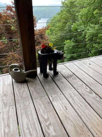 354 Deals Gap, Robbinsville, NC 28771