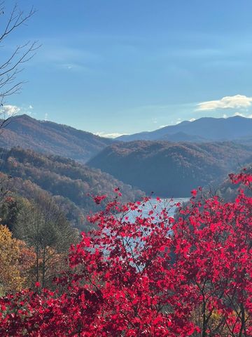 354 Deals Gap, Robbinsville, NC 28771