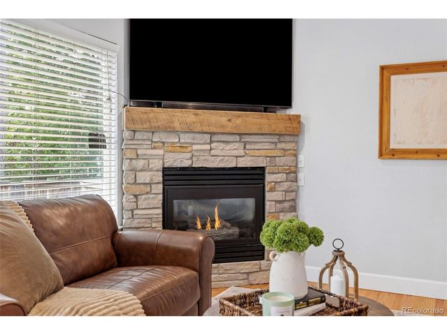 4718 Rock Pipit Ct, Littleton, CO 80126