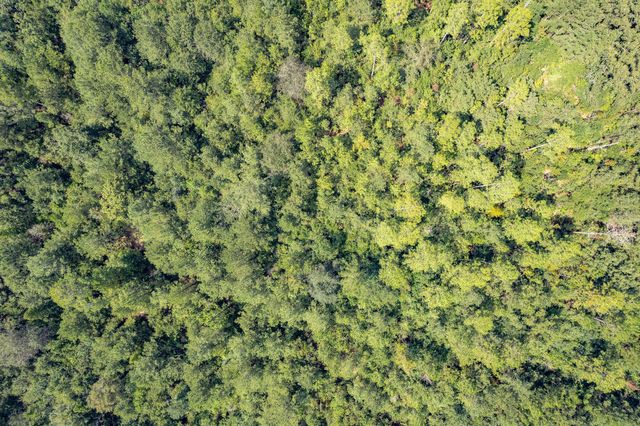 43.16 Crooked Rd., Laurel, MS 39443