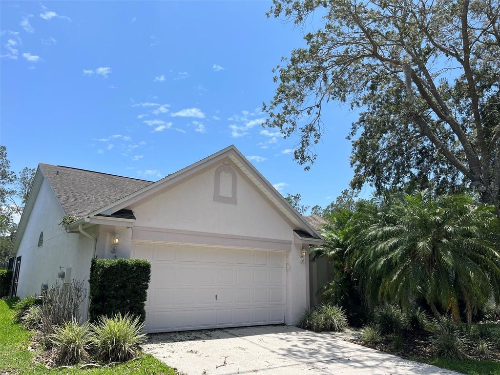 9411 WILLOW COVE COURT, Tampa, FL 33647