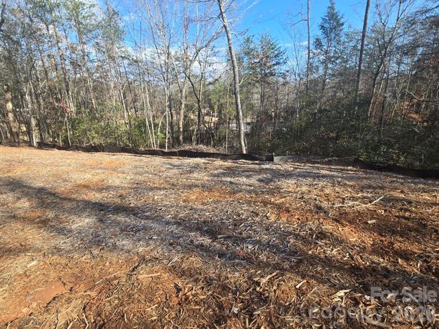 Lot 44 Dalton Court, Lake Lure, NC 28746