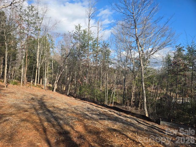Lot 44 Dalton Court, Lake Lure, NC 28746