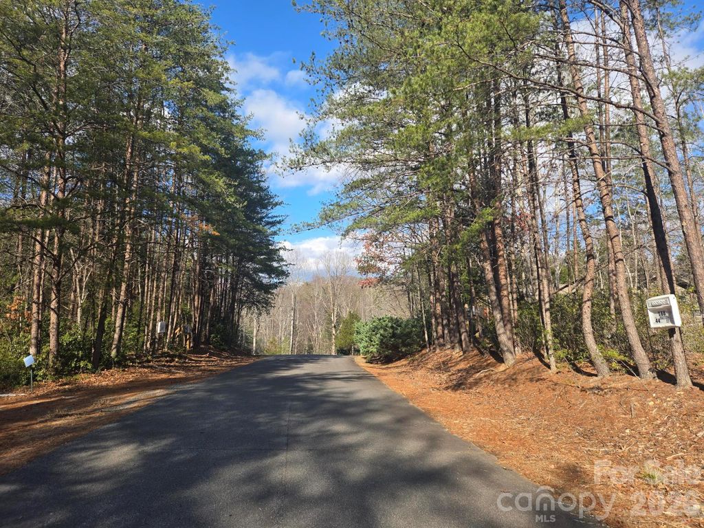 Lot 44 Dalton Court, Lake Lure, NC 28746