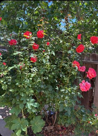 4208 Coyote Lane, Santa Fe, NM 87507