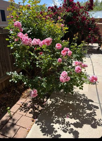 4208 Coyote Lane, Santa Fe, NM 87507