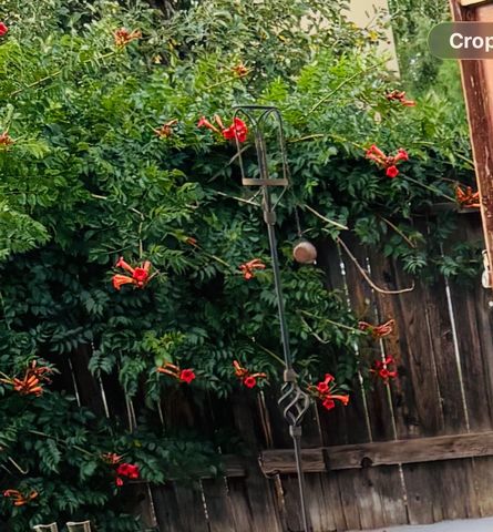 4208 Coyote Lane, Santa Fe, NM 87507