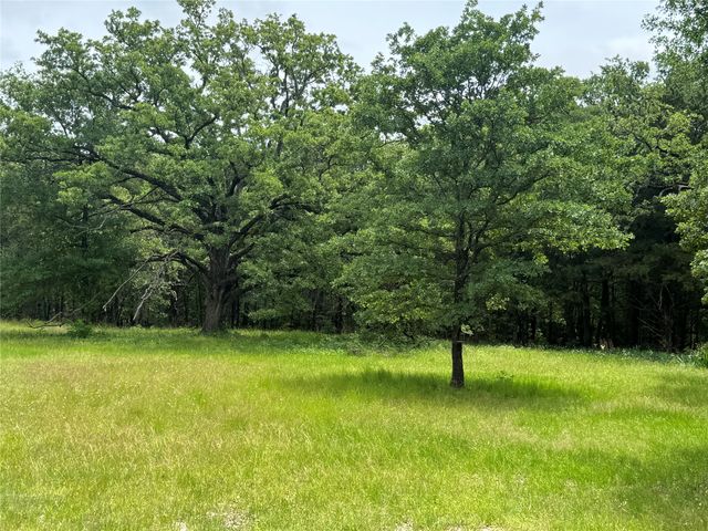 TBD CO RD 4022, Kemp, TX 75143