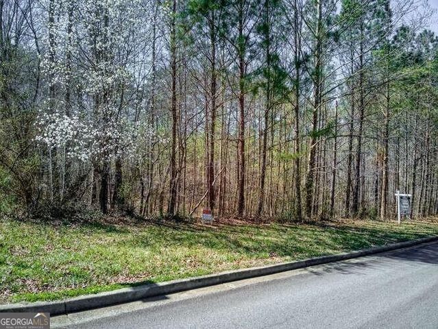 263 Principal Meridian Drive, Dallas, GA 30132