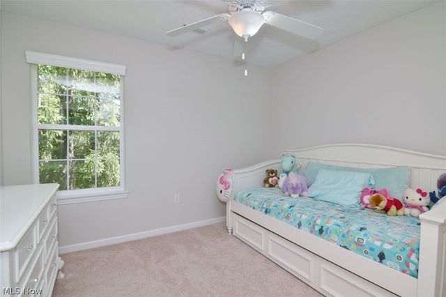 10442 Florida Street, Reminderville, OH 44202