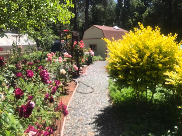 25985 Forest Knoll Ct, Pioneer, CA 95666