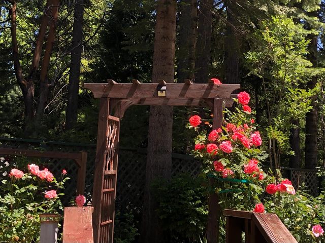 25985 Forest Knoll Ct, Pioneer, CA 95666