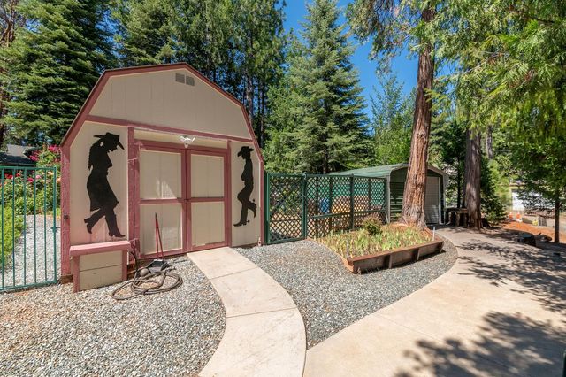 25985 Forest Knoll Ct, Pioneer, CA 95666