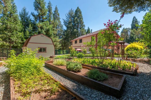 25985 Forest Knoll Ct, Pioneer, CA 95666