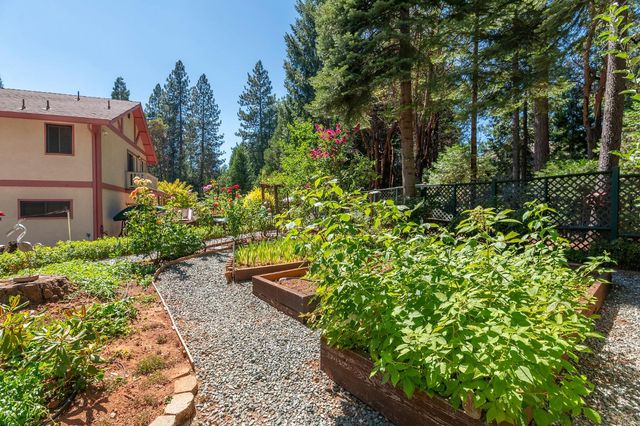 25985 Forest Knoll Ct, Pioneer, CA 95666