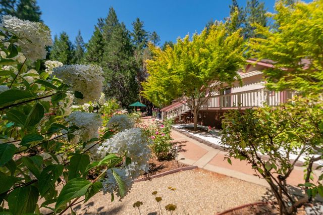 25985 Forest Knoll Ct, Pioneer, CA 95666