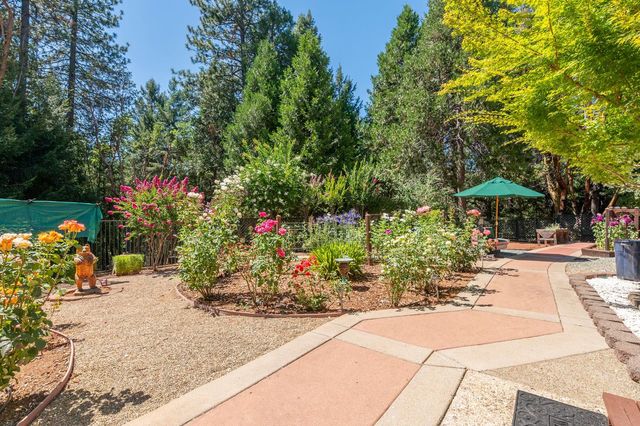 25985 Forest Knoll Ct, Pioneer, CA 95666