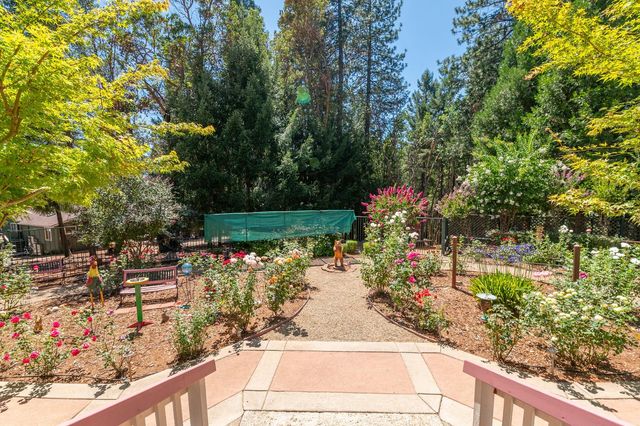 25985 Forest Knoll Ct, Pioneer, CA 95666