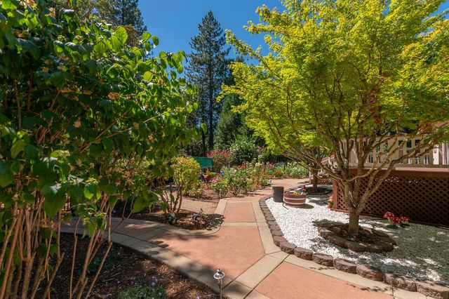25985 Forest Knoll Ct, Pioneer, CA 95666