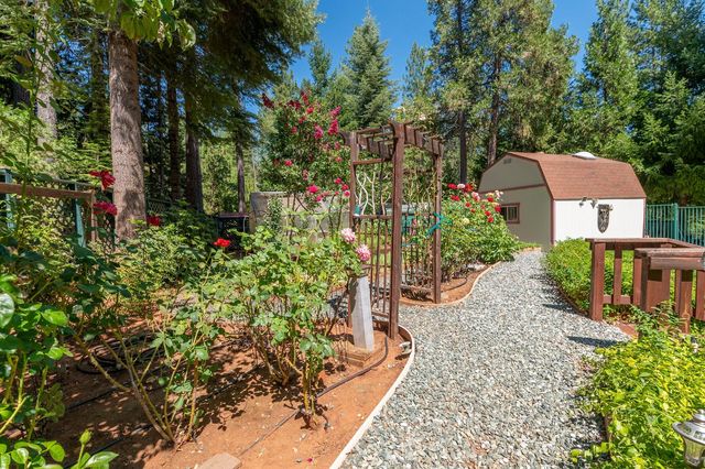 25985 Forest Knoll Ct, Pioneer, CA 95666