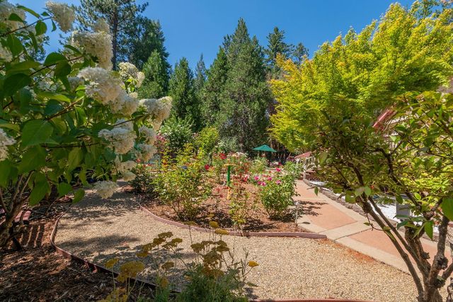25985 Forest Knoll Ct, Pioneer, CA 95666