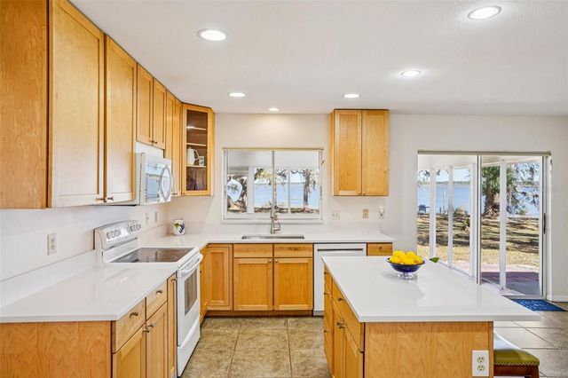 37048 COUNTY ROAD 452, Grand Island, FL 32735