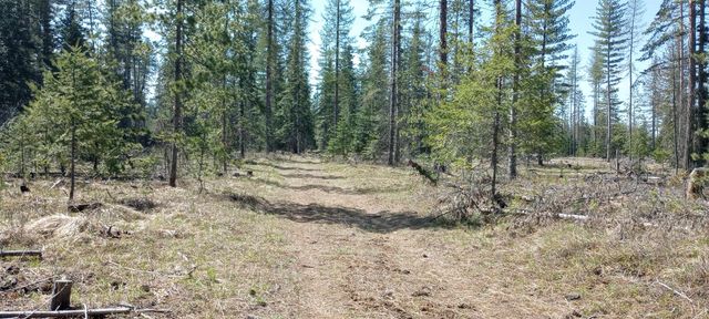 151XX E Oregon Rd, Elk, WA 99009