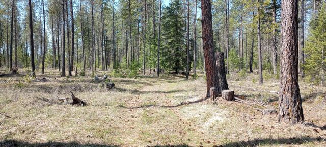 151XX E Oregon Rd, Elk, WA 99009