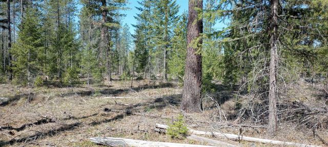 151XX E Oregon Rd, Elk, WA 99009