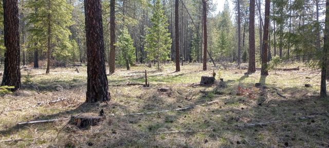 151XX E Oregon Rd, Elk, WA 99009