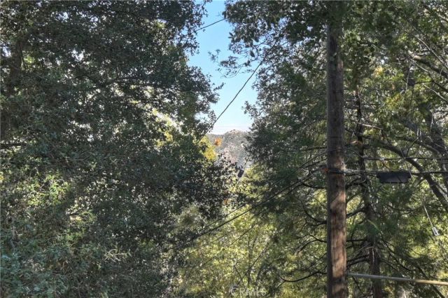 198 Pine Ridge, Crestline, CA 92325