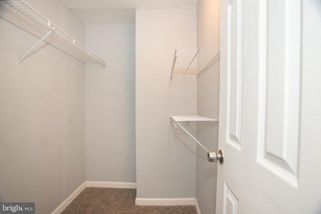 110 N SCOTT, Wilmington, DE 19805