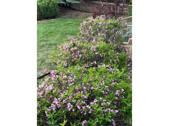 14090 Turnberry Ct, Broomfield, CO 80023