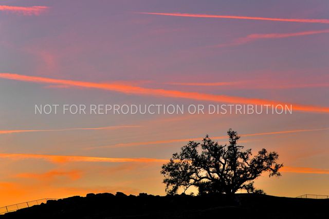 4544 Stone Ranch Dr, Folsom, CA 95630