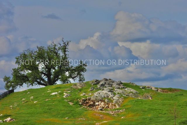 4544 Stone Ranch Dr, Folsom, CA 95630