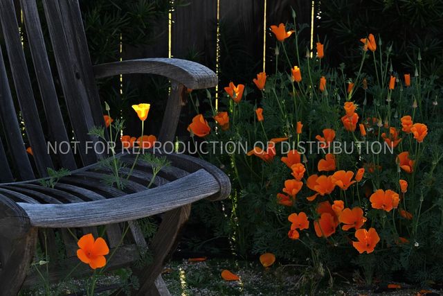 4544 Stone Ranch Dr, Folsom, CA 95630