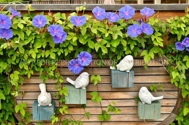 4544 Stone Ranch Dr, Folsom, CA 95630