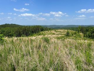 0 County Road 53, Athens, TN 37303