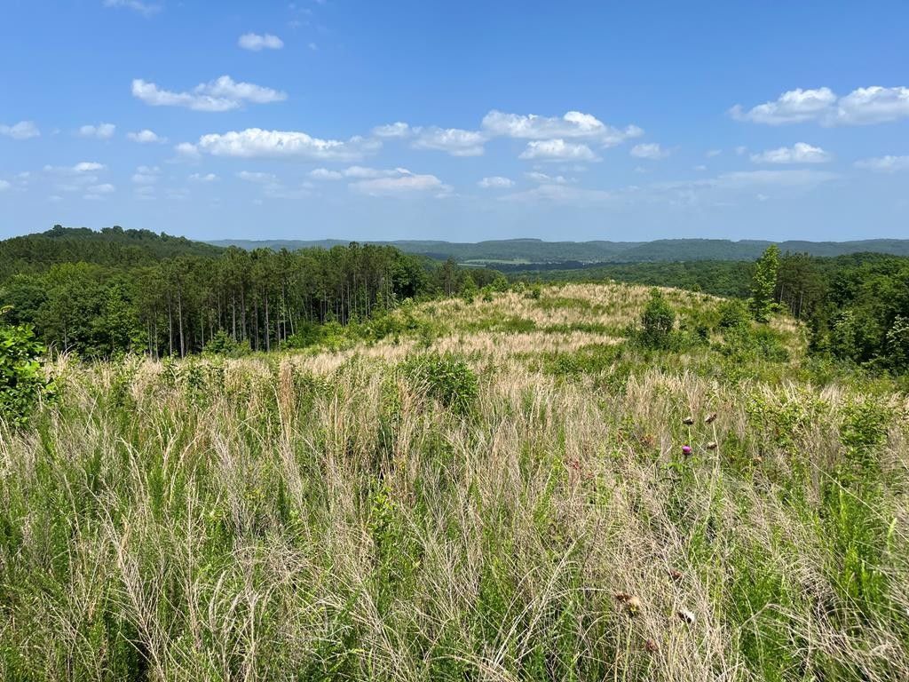 0 County Road 53, Athens, TN 37303