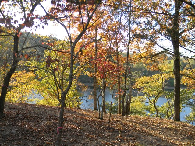 26648 Sandy Shores Rd, Shell Knob, MO 65747