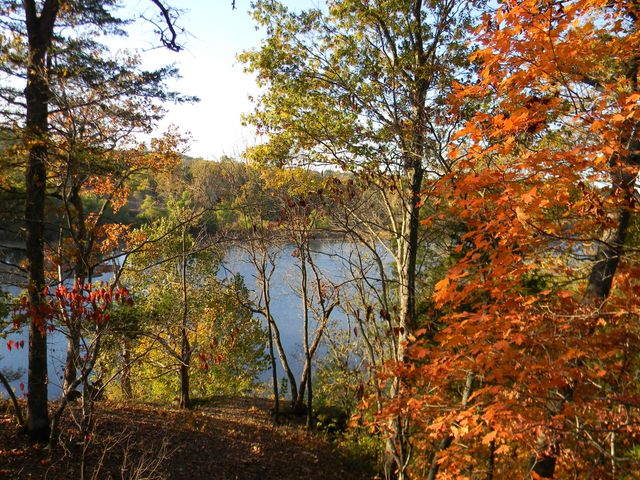 26648 Sandy Shores Rd, Shell Knob, MO 65747