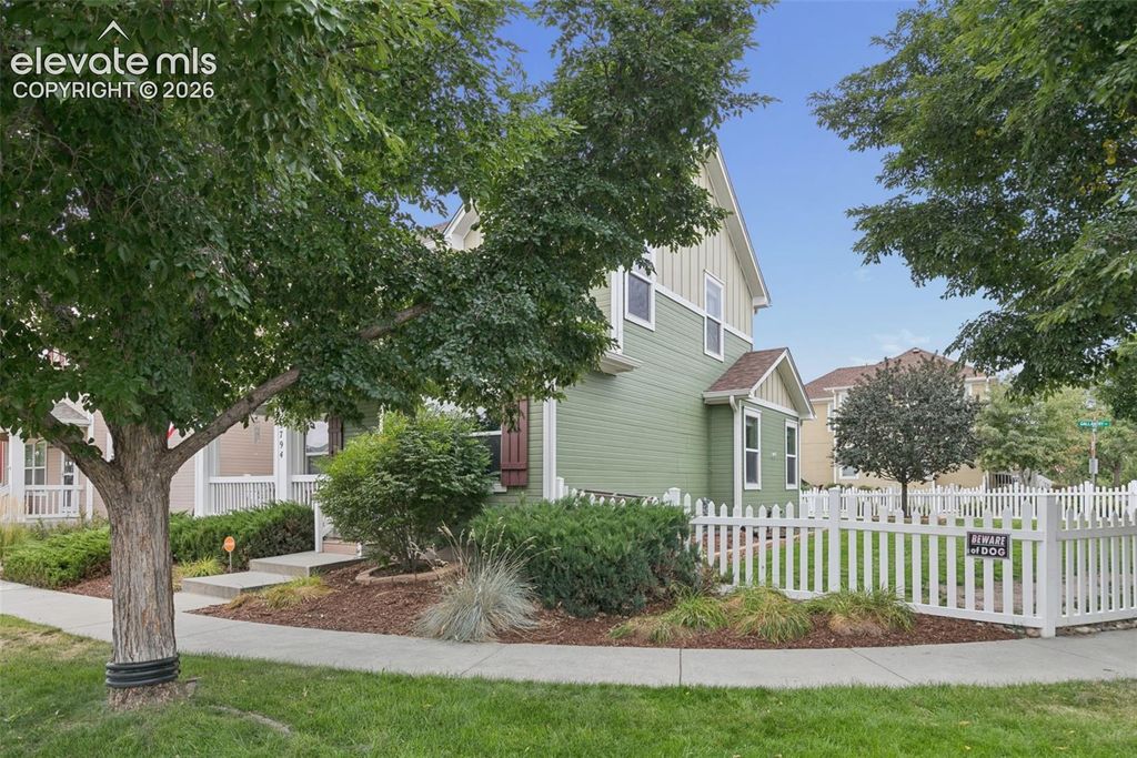 5794 Cassina Drive, Colorado Springs, CO 80923 — photo 3