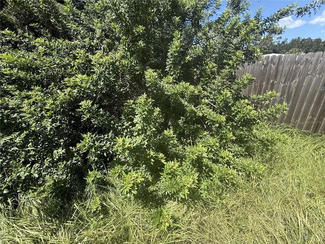 3609 CASABA LOOP, Valrico, FL 33596