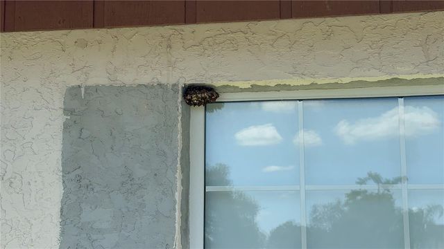 3609 CASABA LOOP, Valrico, FL 33596