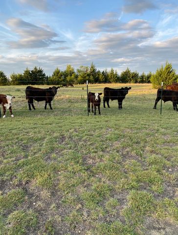 15656 State Highway 78 N, Blue Ridge, TX 75424
